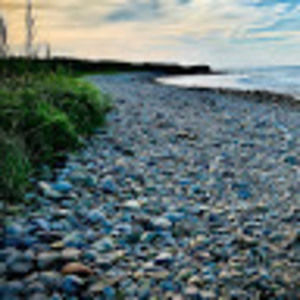 Meet your Posher, Monika